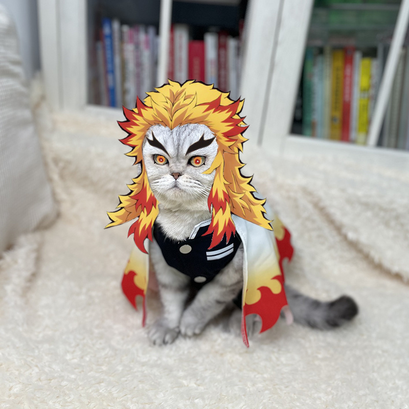 Demon Slayer Pet Cosplay Rengo - Cosplay Flame Prop recensione e prezzo