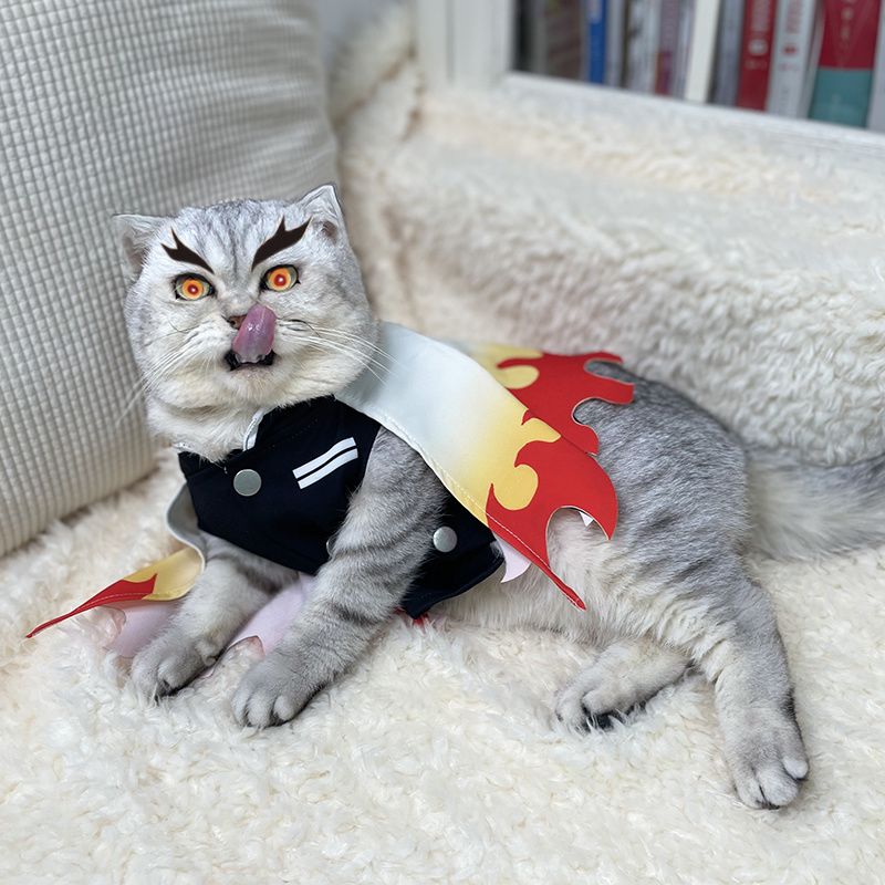 Demon Slayer Pet Cosplay Rengo - Cosplay Flame Prop recensione e prezzo