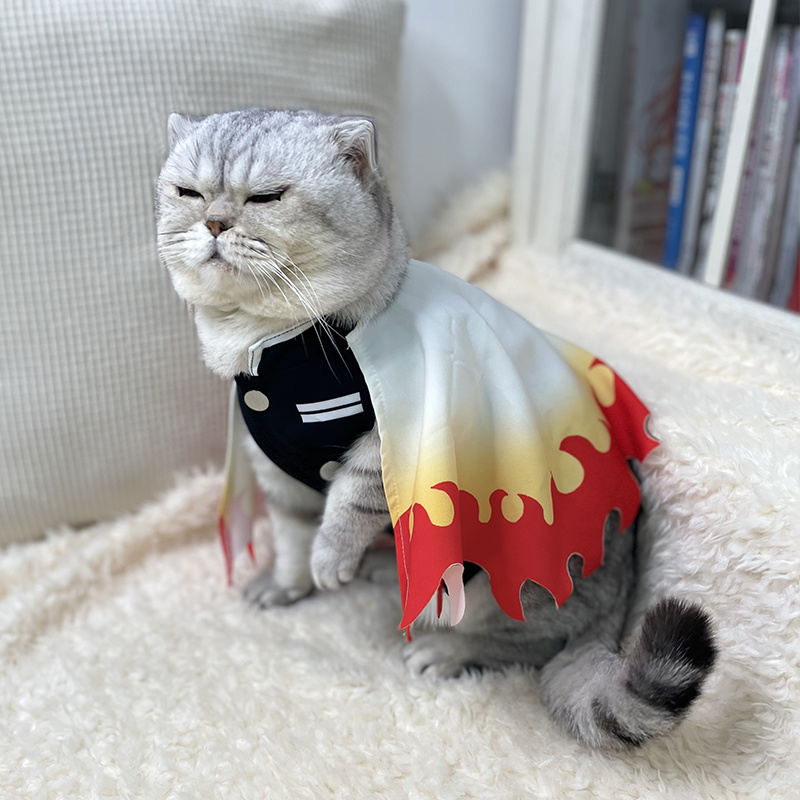 Demon Slayer Pet Cosplay Rengo - Cosplay Flame Prop recensione e prezzo