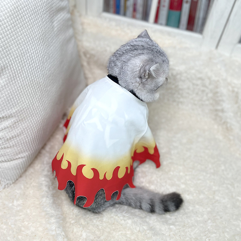 Demon Slayer Pet Cosplay Rengo - Cosplay Flame Prop recensione e prezzo